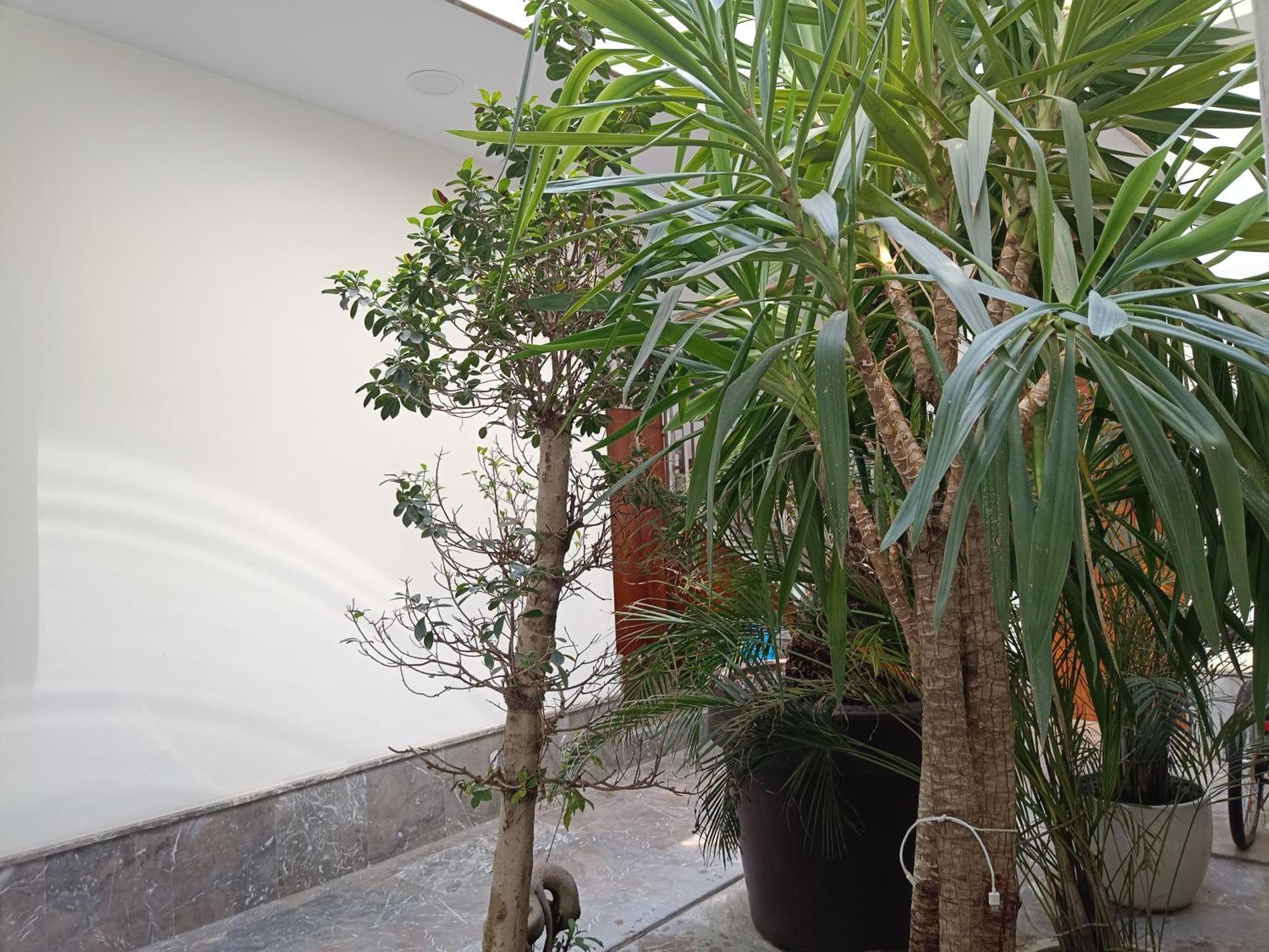 Apartamentos Luxury Puente De Triana Seville Exterior photo